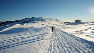 Durch die stille Natur auf das Rittner Horn 