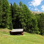 Der erste Teil der Wanderung führt durch abgeschiedene Wiesen und Haine