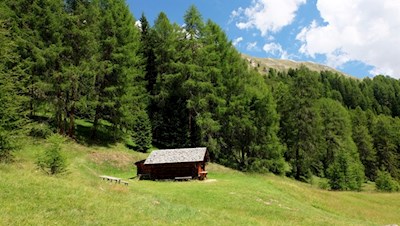 Der erste Teil der Wanderung führt durch abgeschiedene Wiesen und Haine