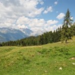 Inmitten einer aussichtsreichen Lichtung thront die Brunnerwiesen Alm