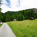 Im angenehmen Anstieg zur Putzalm