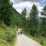 Wandern zur Plattner Alm