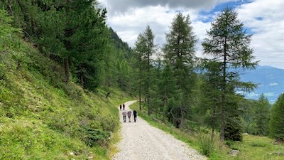 Wandern zur Plattner Alm