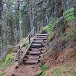 Im steten Anstieg durch den Wald zur Radlseehütte