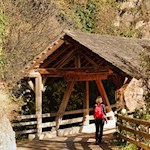 Auf dem Wanderweg Nr. 31 in Richtung Plattner Kreuz