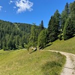 Durch schöne Almwiesen auf den Roen