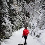 Mit der Rodel zur Aschtalm