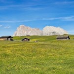 Hinter den Almwiesen der Seiser Alm erheben sich der Lang- und Plattkofel