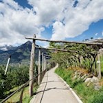 Der Weg Nr. 10A führt durch pittoreske Obstwiesen