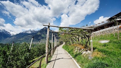 Der Weg Nr. 10A führt durch pittoreske Obstwiesen