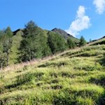 Durch naturbelassene Bergwiesen zur Stin-Alm