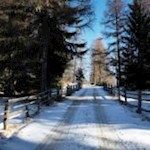 Auf dem gemächlich ansteigenden Weg Nr. 9 zur Anratterhütte