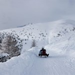 Abfahrt-auf-der-Rodelbahn-Gitschberg
