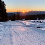 „Wer die Kostbarkeit des Augenblicks entdeckt, findet das Glück des Alltags.“ (Adalbert Stifter)