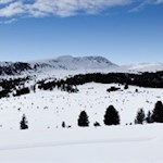 Auf dem Weg Nr. 23 öffnen sich schöne Ausblicke auf den Villanderer Berg