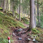 Der Anstieg zur Kerschbaumeralm ist bestens markiert