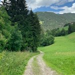 Der Lüsner Panoramaweg schlängelt sich durch grüne Wiesen