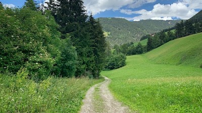 Der Lüsner Panoramaweg schlängelt sich durch grüne Wiesen