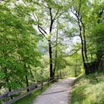 Auf sanften Wegen zur Haselburg