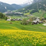 Durch malerische Blumenwiesen nach Heiligkreuz