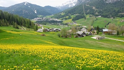 Durch malerische Blumenwiesen nach Heiligkreuz