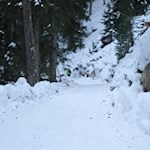 Die Rodelbahn von der Stumpfalm verheißt ein schwungvolles Wintervergnügen