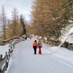 Auf dem Weg zur Prantner Alm