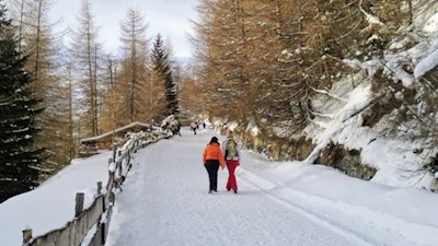 Auf dem Weg zur Prantner Alm