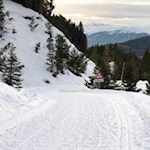 In der Ferne erhebt sich das Rittner Horn