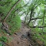 Durch Wald- und Buschhänge nach Seit