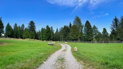 Wandern Villanderer Alm