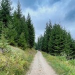 Leichte Wanderung von Obereggen zum Häusler Sam