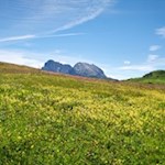 Vor uns erheben sich der Lang- und Plattkofel
