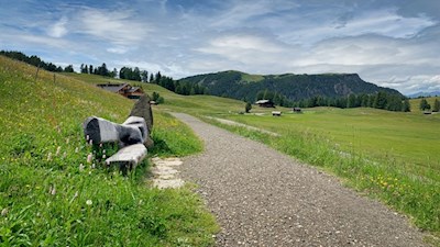 Der sanfte Weg zur Rauchhütte kann auch mit dem Kinderwagen befahren werden