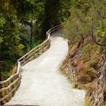 Auf gemütlichem Wege um den Pragser Wildsee