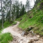 Sui sentieri in leggera salita verso il lago Sorapis