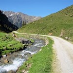 Entlang des Staudenbergbaches zurück nach Maiern