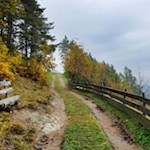 Herbstwanderung auf dem Lengsteiner Rundwanderweg