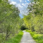 Durch lichten Auwald nach Stange