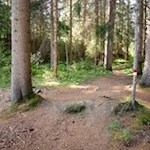 Der Weg zur Achenrainschlucht ist bestens markiert