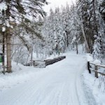 Aufstieg durch den verschneiten Nadelwald zur Brunstalm