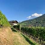 Through picturesque orchards back to Chiusa