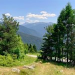 Vom asphaltierten Wanderweg zweigt am oberen Dorfrand ein schmaler Wandersteig ab