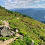 Abstieg zur Moarhofalm