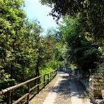 The wide paved path leads to the massive bastione