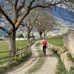 Frühlingswanderung-von-Klausen-nach-Albions-und-Lusenegg