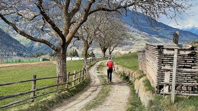 Frühlingswanderung von Klausen nach Albions und Lusenegg