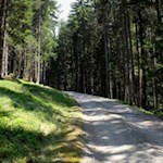 Sanft steigt der Weg zur Moarhofalm an