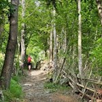 Auf dem Kreuzweg von Astfeld nach St. Valentin