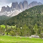 Wildgehege am Naturerlebnisweg Zans